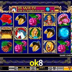 Security Systems ok8